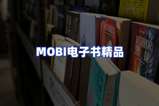 外文电子书产品